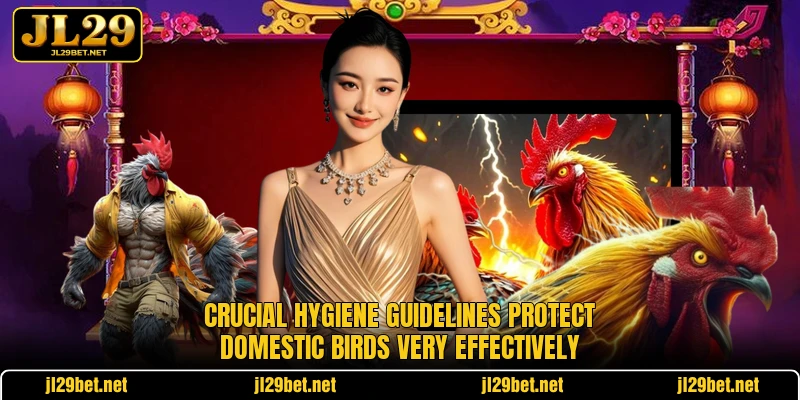 Crucial hygiene guidelines protect domestic birds very effectively
