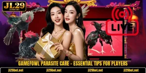 Gamefowl Parasite Care - Essential Tips For Players