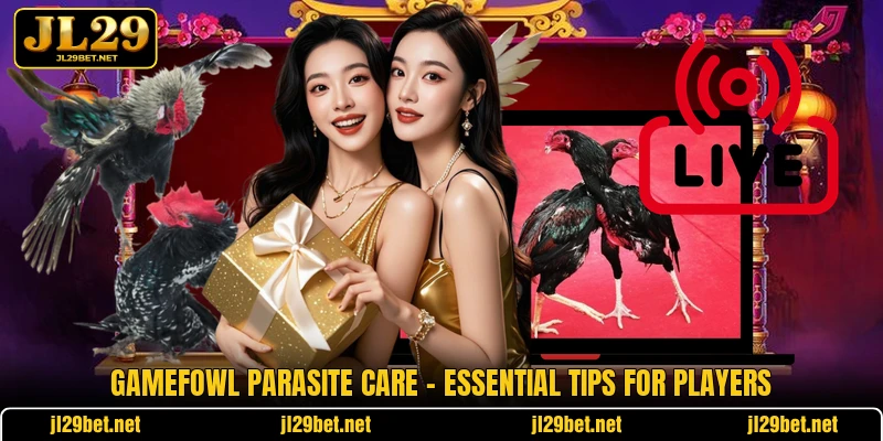 Gamefowl Parasite Care - Essential Tips For Players