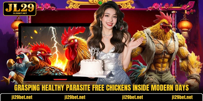 Grasping healthy parasite free chickens inside modern days