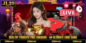 Healthy Parasite Free Chickens - An Ultimate Care Guide