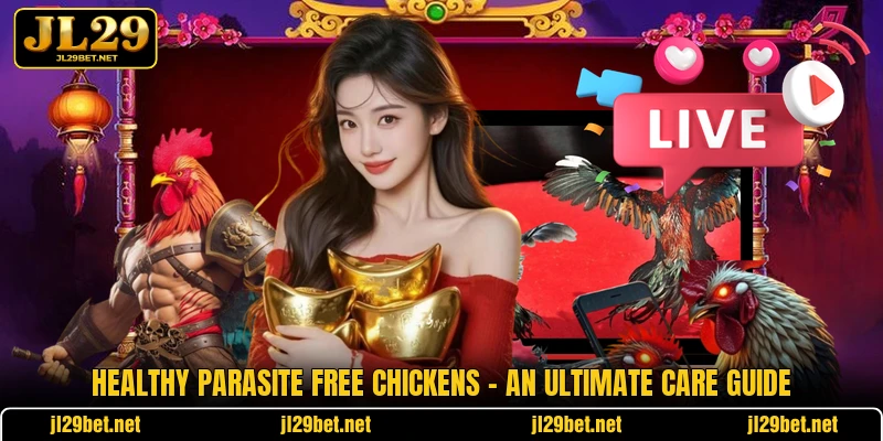 Healthy Parasite Free Chickens - An Ultimate Care Guide