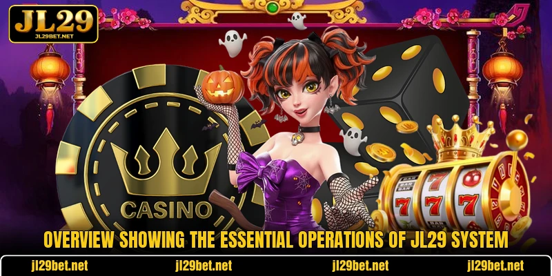 Overview showing the essential operations of JL29 system