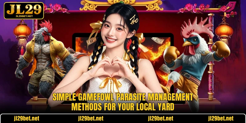 Simple gamefowl parasite management methods for your local yard